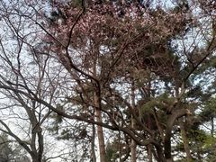 -长春市南湖公园