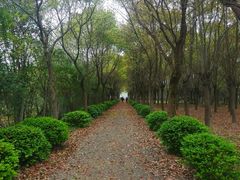 -嘉北郊野公园