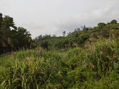 -深圳仙湖植物园-停车场