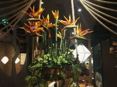 -云海肴·汽锅鸡·云南菜(天津国金汇店)