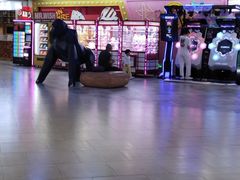 -欧亚汇集(飞跃路店)