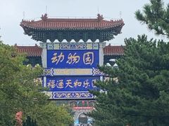 -西霞口神雕山野生动物世界