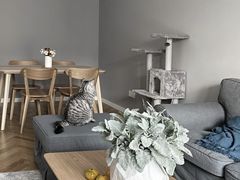 -宅天下装饰·匠心筑家(春熙店)