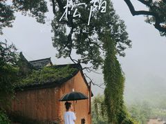 -杨家堂村
