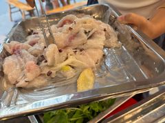 -金鼎雪山牦牛杂火锅(理县总店)