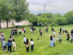 -淘米·公司团建·团队旅游·拓展培训