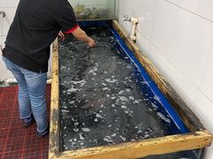 -活鱼馆(宜兴埠店)