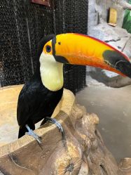 -Zoolung Zoolung动物主题公园(海信广场店)