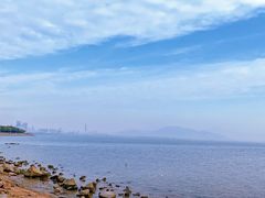 -深圳湾公园(南山区)