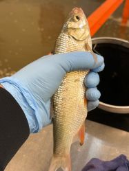 -巡鱼道·室内垂钓·渔具店