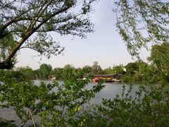 -盆景园(扬州大运河文化旅游度假区)