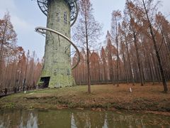 -黄海国家森林公园