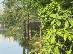 -重庆彩云湖湿地公园