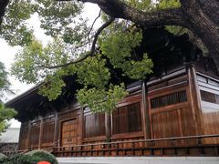 -Seesaw Coffee(上海尚悦湾店)