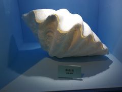 -温州博物馆