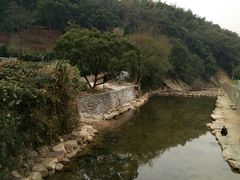 -北仑森林植物园