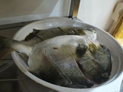 -天鹰观渔(梦园店)