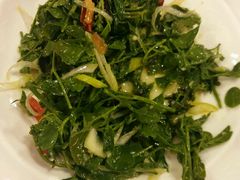 -左陕右甘(亚运村店)