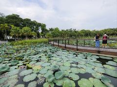 -映月湖公园
