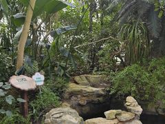 -南山植物园