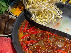 -阳阳老火锅(小南门店)