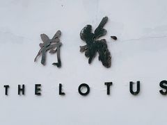 -几荷·恰似故人来(秀水广场店)