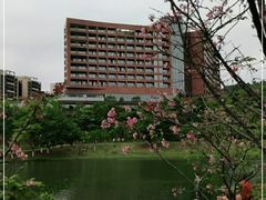 -广州汇华希尔顿逸林酒店