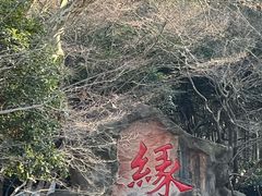 -杭州黄龙洞