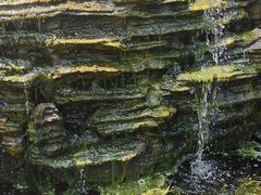 -北京植物园-展览温室