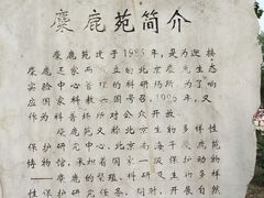 -北京麋鹿生态实验中心