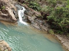 -广州白江湖森林公园