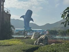 -珠海长隆海洋王国