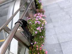 -中海环宇荟