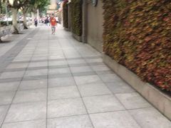 -中国福利会少年宫