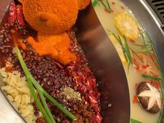 小熊鸳鸯锅-红辣椒·川菜·火锅(张杨路店)