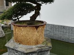 -水绘园