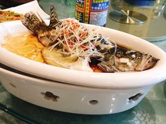 清蒸鲈鱼-丽华园(青少年宫店)
