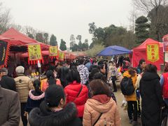 -秀丽东方