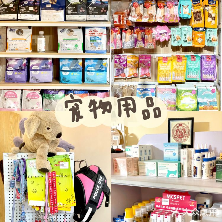 上海宠物店推荐|找到了买猫狗的好地方！