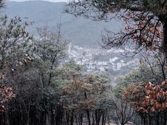 -香雪海