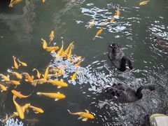 -南宫五洲植物乐园