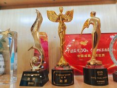 -天津大学爱尔眼科医院(天津总院)
