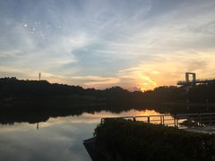 -东莞植物园