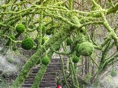 -龙湾潭国家森林公园