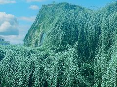 -府河摄影公园
