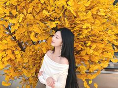 -石家庄万象城