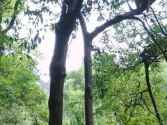 -黔灵山公园