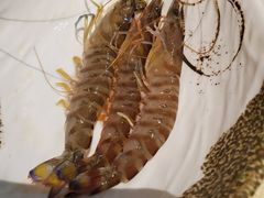 -雍和会海鲜姿造自助(湖东路店)
