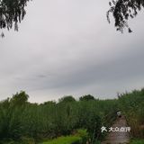 进门需戴好口罩，扫码进去哦！
