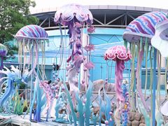 -海合安武汉极地海洋公园